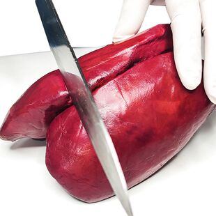 【顺丰包邮】特级法式红酒蓝莓鹅肝冰激凌口感刺身专用金砖鹅肝