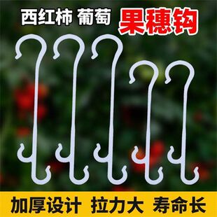 西红柿挂钩果穗钩吊蔓钩吊穗钩番茄果穗挂钩托穗挂钩塑料挂果钩子