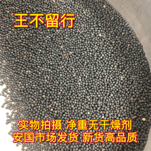 安国中药材市场 王不留行 生王不留行籽王不留行子正品1000克包邮