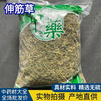安国中药材市场批 发新货绿色伸筋草 伸经草 舒筋草 1000克非野生