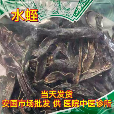 安国中药材市场 干水蛭吊干清水水蛭 清水蚂蟥250g克包邮