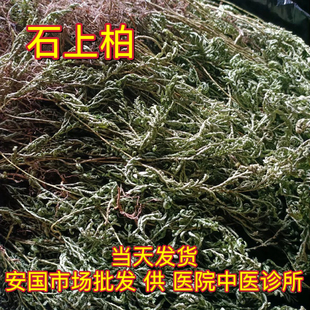 安国中药材市场 石上柏 地侧柏梭罗草地梭罗金龙草深绿卷柏1000克