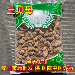 安国中药材市场 土贝母 干贝母地苦胆大贝母新鲜干货1000克
