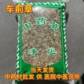 发车前草 正品 车前草干车前草茶新货1000克 安国中药材市场批 包邮
