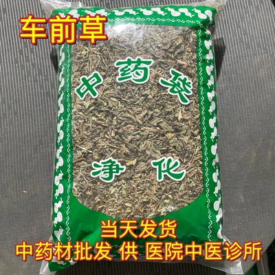 安国中药材市场批 发车前草 正品车前草干车前草茶新货1000克包邮