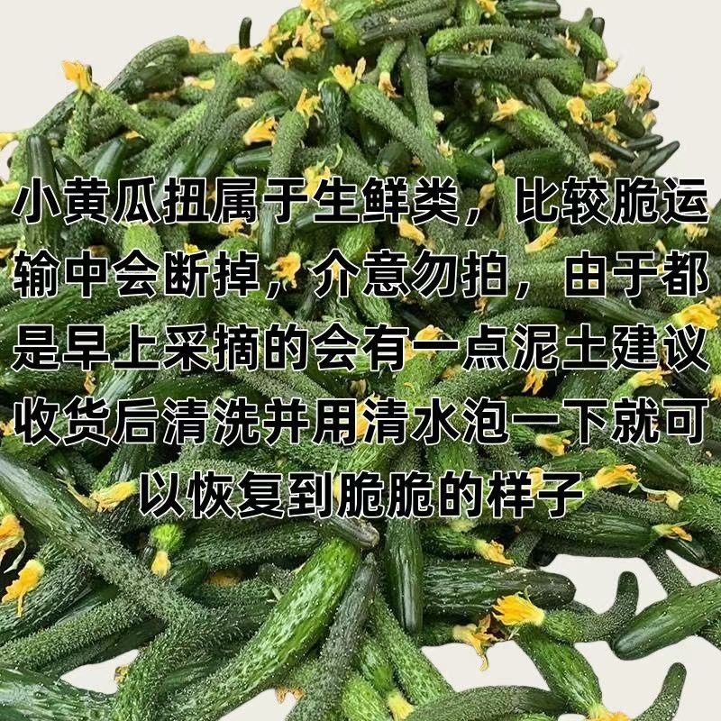 新鲜拇指小黄瓜扭迷你小青瓜带刺乳瓜手工腌制酱瓜蔬菜现摘现发