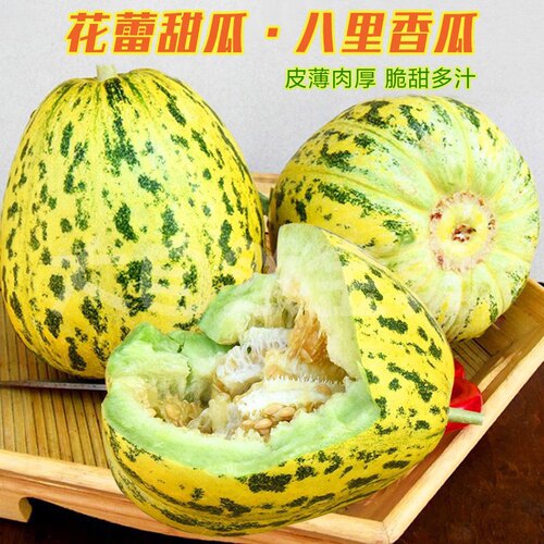 东北八里香花姑娘新鲜现摘整箱包邮时令孕妇水果花蕾甜瓜山东特产