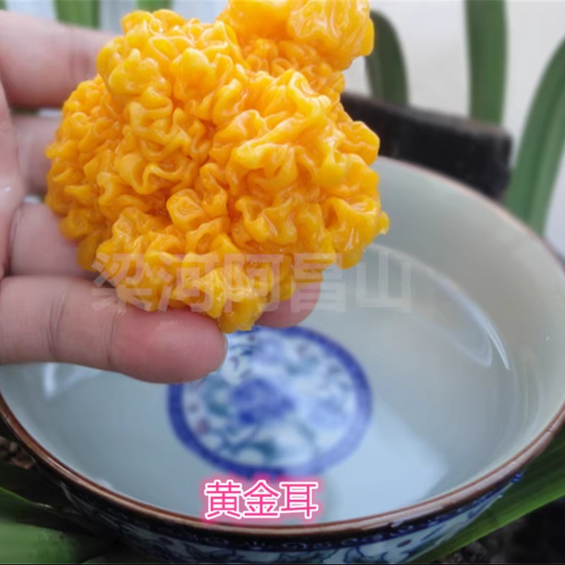 黄金木耳脑耳丑耳中等桃胶皂角米