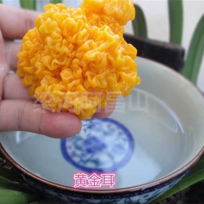 黄金木耳脑耳丑耳中等桃胶皂角米