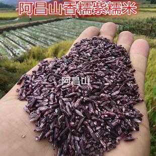 云南老品种紫糯米边境香糯软紫糯米农家五谷杂粮血糯米每份250克