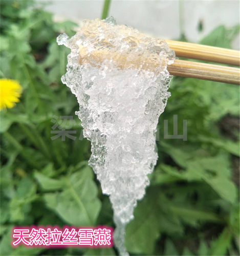 雪燕天然雪燕精选拉丝皂角米