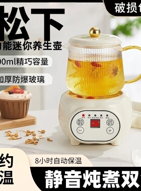 2026新款迷你养生壶办公室养生杯烧水壶mini小型电炖杯煮茶壶