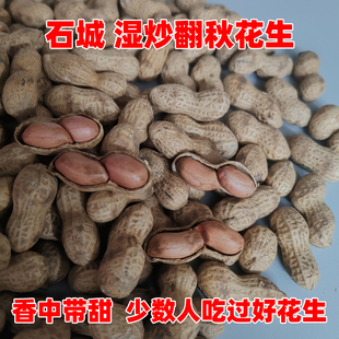 正宗石城翻秋花生江西带壳原味湿炒花生炒货熟花生农家土特产赣州