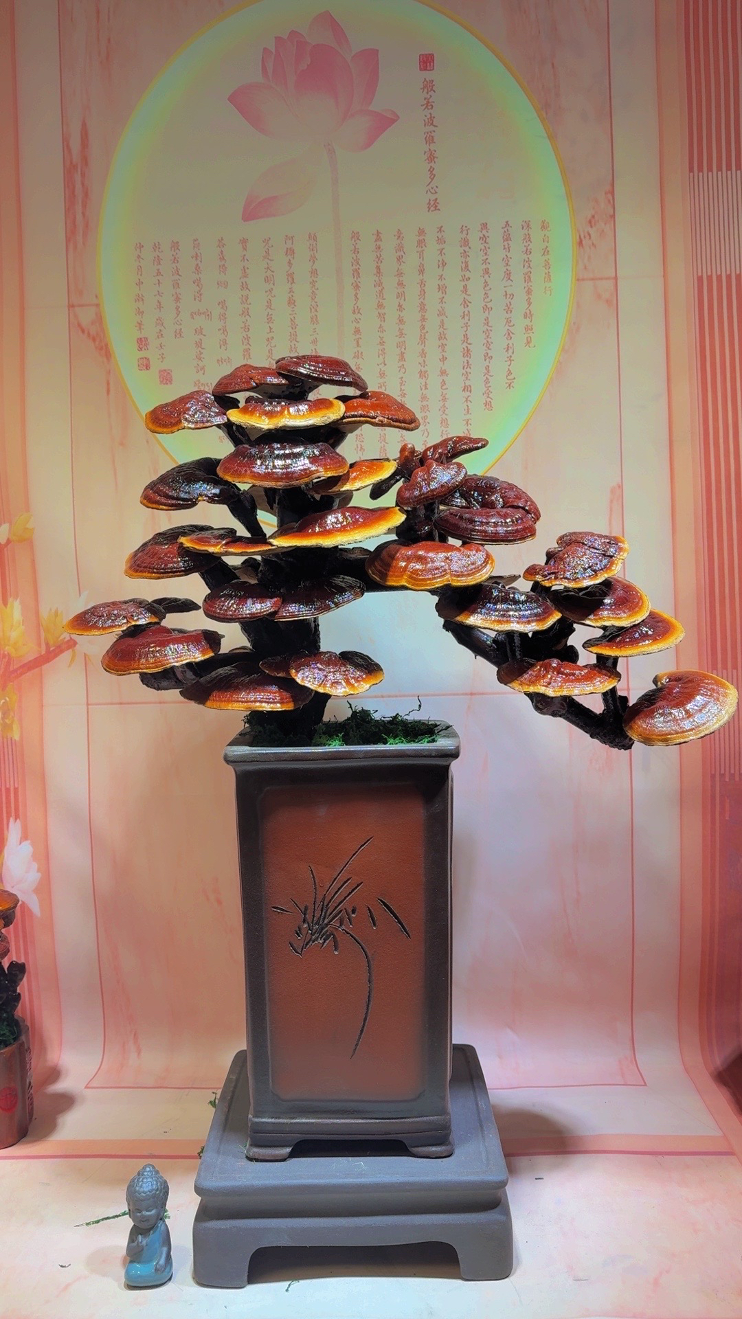 灵芝盆景招财开业送礼办公室内客厅观赏盆栽耐阴好养植物摆件