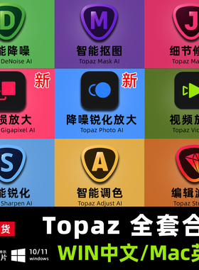 Topaz AI Pro全套Photo 人像Video清晰Gigapixel放大降噪锐化超分