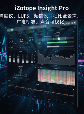 Insight pro音频分析响度仪VST3插件WinMac响度测量频谱可视化