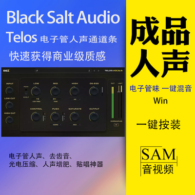 电子管人声通道条快速获得成品