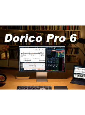 Steinberg Dorico Pro 6中文打谱制谱软件Win替代Finale五线谱