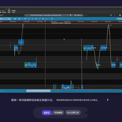 Synchro Arts RePitch  自然通透的人声音高编辑新标杆 win