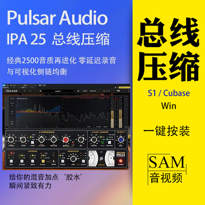 API2500进化版/内置削波/零延迟