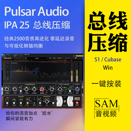 API2500进化版/内置削波/零延迟