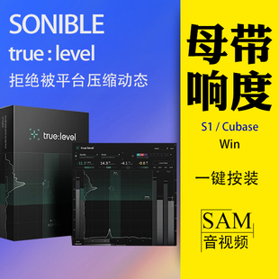 Sonible TrueLevel响度动态监视VST3插件Win流媒体发布达标检测
