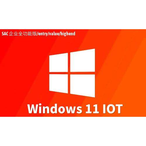 微软windows11企业版entryIOT