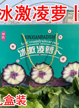 【10斤礼盒装】【精品】冰激凌萝卜纯甜不辣潍坊水果萝卜冰淇淋