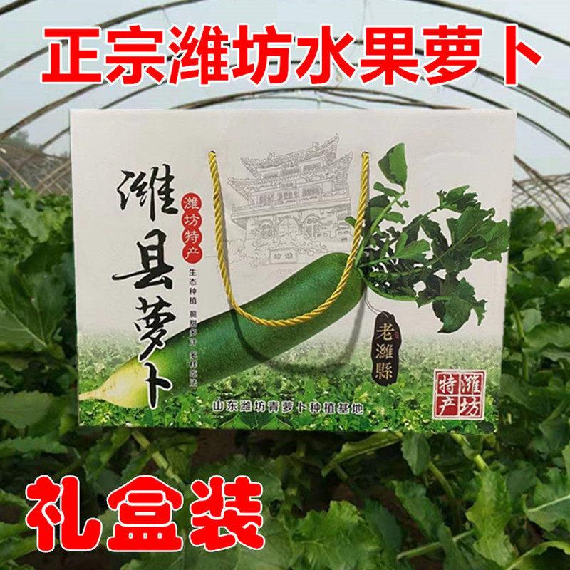 [10斤礼盒装]山东潍坊水果萝卜老潍县青萝卜夏庄正宗脆甜萝卜送礼