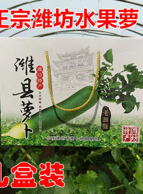 [10斤礼盒装]山东潍坊水果萝卜老潍县青萝卜夏庄正宗脆甜萝卜送礼