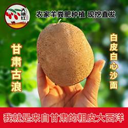 正宗甘肃沙漠白心开花爆皮新鲜土豆现挖粉糯洋芋蛋农家马铃薯包邮