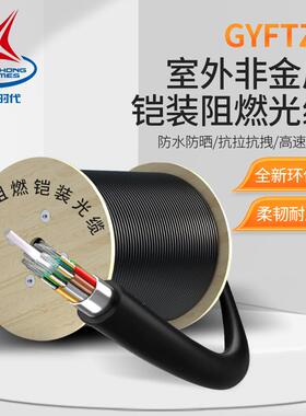 辉宏时代室外单模非金属铠装阻燃光缆GYFTZA双铠装光缆GYFTZA53单模4芯8/12/24/48芯铠装管道导引光纤