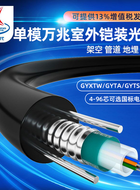辉宏时代国标单模铠装光缆GYXTW/GYTA/GYTS/GYXTZW室外万兆阻燃光纤线4芯6芯8芯12芯24芯96芯架空穿管埋地