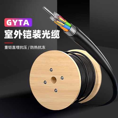 辉宏时代室外单模铠装阻燃光缆GYTA/GYTZA层绞式4芯8芯12芯24芯48芯96芯144芯光纤线特种油膏4b12b国标直埋