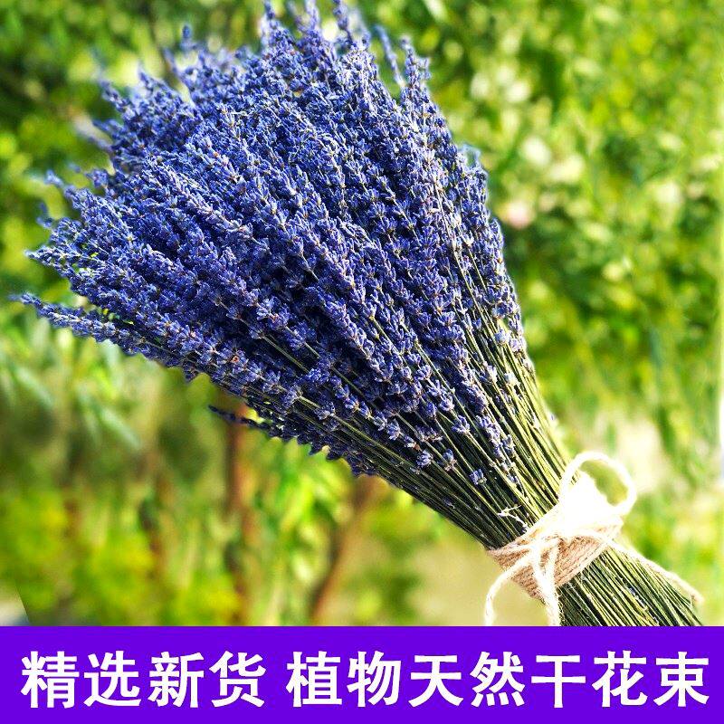 教师节薰衣草干燥花束客厅香薰插花ins礼物装饰天然风干花束真花