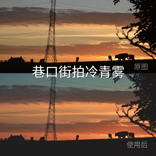 巷口街拍冷青雾LUT S-Log2H-LogAppleLog2D-LogMAfterEffec尼康ZR