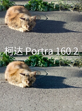 柯达Portra1602LUT D-Cinelike达芬奇平板O-LogRec.2020PiPhone14