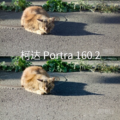 柯达Portra1602LUT D-Cinelike达芬奇平板O-LogRec.2020PiPhone14