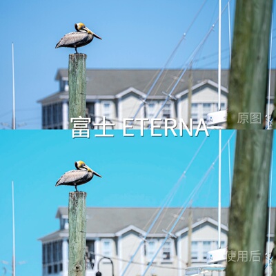 富士ETERNALUT I-LogX5系列I-LogAcePro2系列CapCut手机F-Log红米