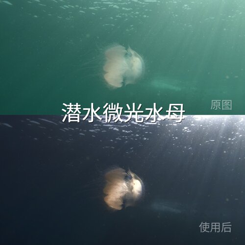 潜水微光水母LUT O-Log2运动相机AfterEffectsPocket4大疆Action4