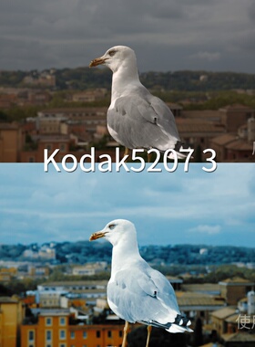 Kodak52073LUT GP-Log固件2.00达芬奇LogC3GalaxyLogD-CiFujifilm