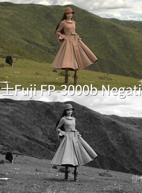 富士FujiFP-3000bNegativeLUT N-LogO-LogRec.709Gamma2.4DaViXT4