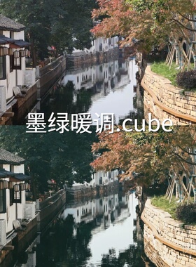 墨绿暖调.cubeLUT macI-LogAcePro2系列liit安卓AppleLovivoXFlip