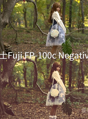 富士FujiFP-100cNegative5LUT AfterEffectsO-LogRec.20vivoXFlip