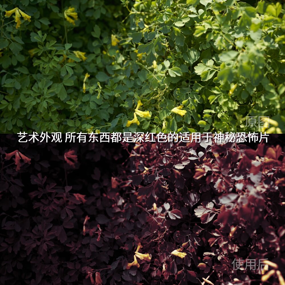 艺术外观所有东西都是深红色的适设计素材/源文件