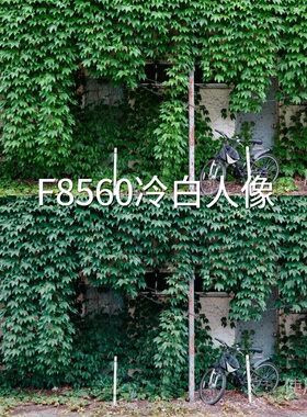 F8560冷白人像LUT LogC4Mini4ProD-LogM通用D-CinelikeF索尼Alpha