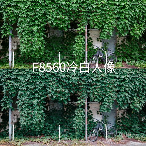 F8560冷白人像LUT LogC4Mini4ProD-LogM通用D-CinelikeF索尼Alpha