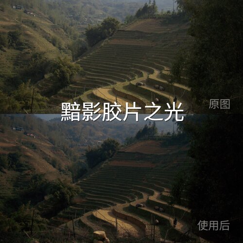 黯影胶片之光LUT AppleLogLogC3GalaxyLogH-LogD-LogMO-LogFindX9