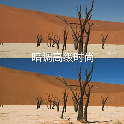 暗调高级时尚LUT macDaVinciResolveLogC4松下机内安卓V-Log松下G