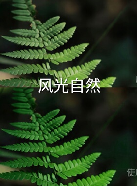 风光自然LUT O-LogRec.2020PQ1000iosI-LogX5系列AppleLog无X100V